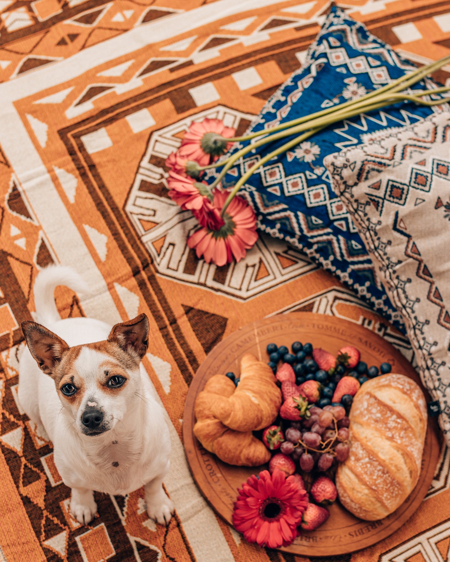 Child of Nature' Woven Picnic Rug / Throw