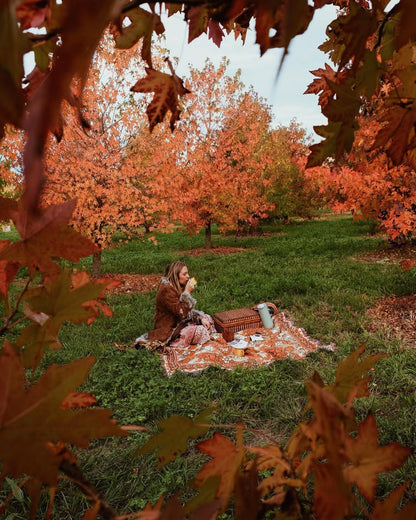 Penny Lane' Woven Picnic Rug / Throw