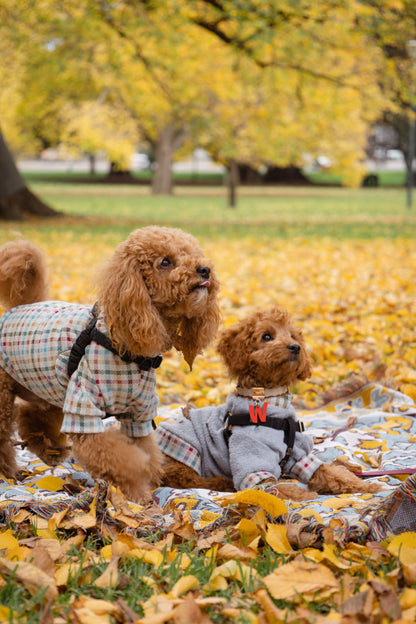 Every Little Thing' Woven Picnic Rug / Throw